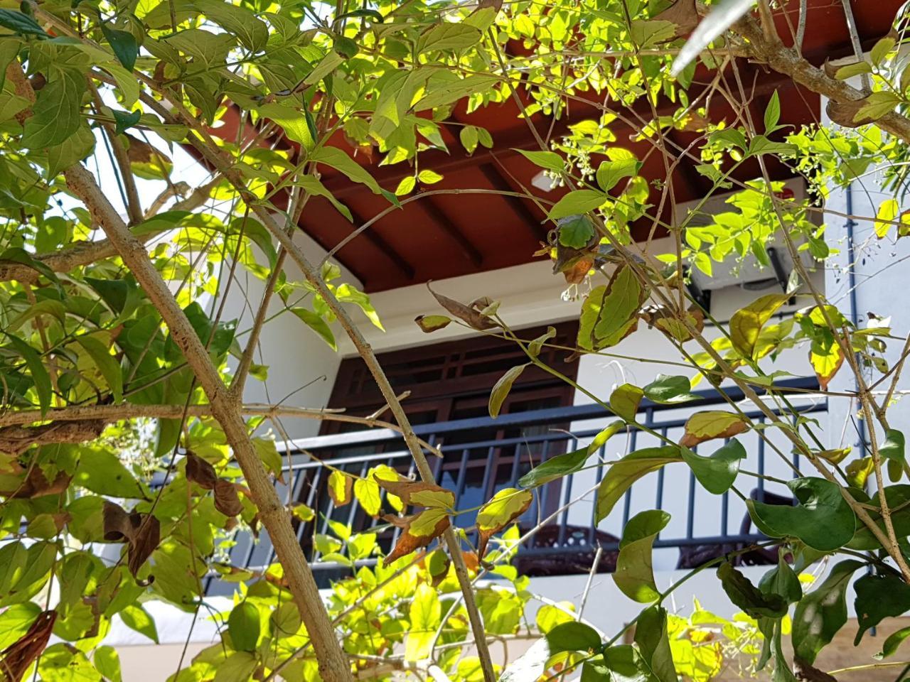 My Whales Guest House Banduramulla Exterior photo